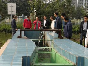 生態(tài)環(huán)境部與省生態(tài)環(huán)境廳聯(lián)合調(diào)研我市污水處理廠治理工作