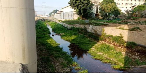 治水攻堅戰——新華街水環境治理進行時（1月26-27日戰報）
